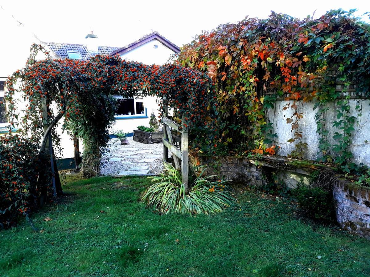 Country Home Tara Rathfeigh Екстер'єр фото